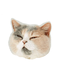 Purr Sticker