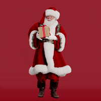 Celebrate Merry Christmas GIF by Macy's
