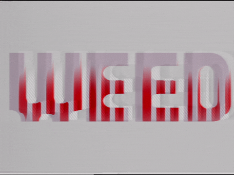 Art Glitch GIF