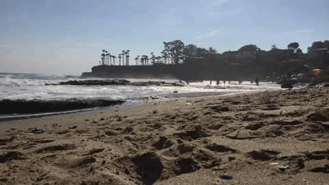 Laguna Beach GIF by Justin