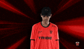 Excuse Me What GIF by Tribe Gaming