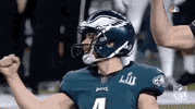 Super Bowl Football GIF by NFL