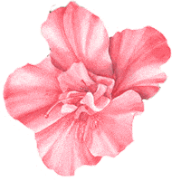 Girl Pink Sticker by Marlo Kids