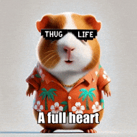 Gratitude Contentment GIF by Guinea Gambino