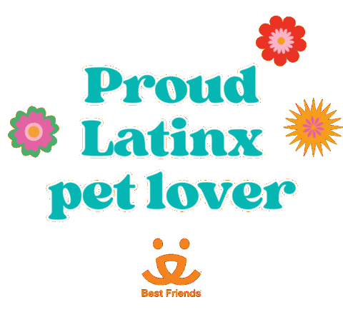 Mi Casa Pets Sticker by Best Friends Animal Society