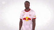 Red Bull Sport GIF by FC Red Bull Salzburg