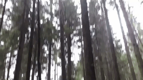 ThenexSportOG thenex thenexsport GIF