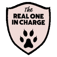 In Charge Cat Sticker by Itch.