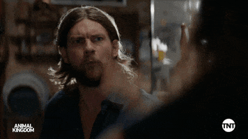 S5 GIF by Animal Kingdom on TNT