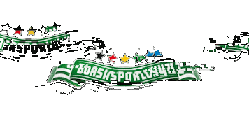 bursasporluyuzorg logo brand 1963 beyaz Sticker