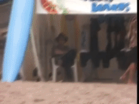 the mystery files of shelby woo nicksplat GIF