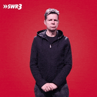 Hm Wtf GIF by SWR3