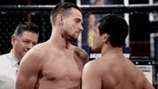 episode 4 ufc GIF