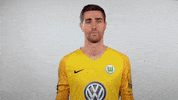 world cup football GIF by VfL Wolfsburg
