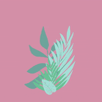 Bird Love GIF by miledrawings