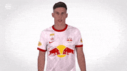 Red Bull Sport GIF by FC Red Bull Salzburg