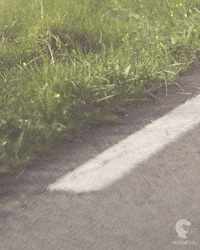 Driving On The Road GIF by Mecanicus