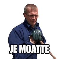 Take It Easy Enjoy Sticker by Omrop Fryslân