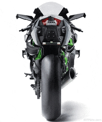trydeal ninja kawasaki h2 GIF