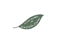 wholewed  Sticker