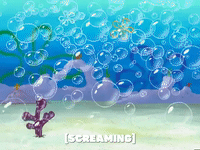 season 5 the inmates of summer GIF by SpongeBob SquarePants