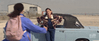 Toronto International Film Festival Love GIF by TIFF