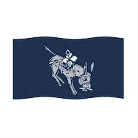 College Flag Sticker by coloradoschoolofmines