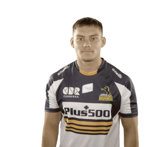 Super Rugby Sticker by BrumbiesRugby