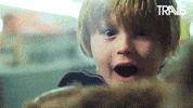 I Want This Wow GIF by Travis