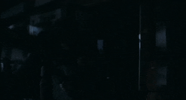 New Zealand Canada GIF by TIFF