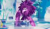 hungry angrybirdsmovie2 GIF