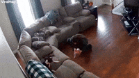 Owner Saves Puppy with Head Stuck in Treat Bucket