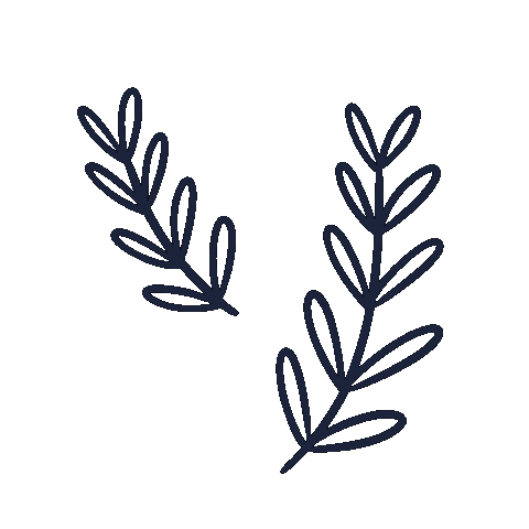 Karadoescolouring giphyupload nature purple plant Sticker