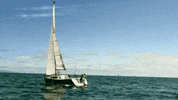 Los Angeles Sunglasses GIF by Hardly Art
