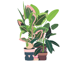 4Gatos Sticker