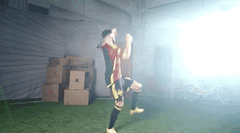 dawgfan89 giphyupload GIF