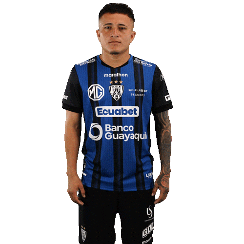 Dance Soccer Sticker by INDEPENDIENTE DEL VALLE