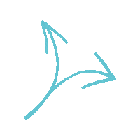 Vienna Wvp Sticker by Wiener Volkspartei