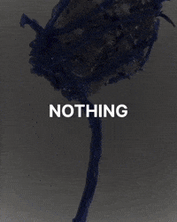 Aliens Nothing GIF by Jean Scuderi