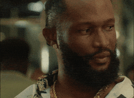 tkamseries dumb dummy tkam shallow GIF