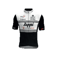 Zappi_Racing_Team cycling cyclinglife mbt zappi Sticker