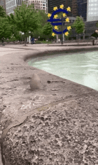 maikenlaackmann ar frankfurt euro eu GIF