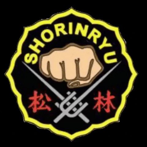 matsubayashi karate zen dojo matsu GIF