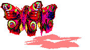 Art Butterfly Sticker by badblueprints