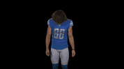 Football Hair Flip GIF by Detroit Lions