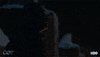 season 8 GIF by Game of Thrones