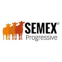 Semex Sticker by Cenatte