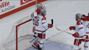 Group Hug Hockey GIF by Ohio State Athletics