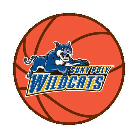 Basketball Wildcats Sticker by SUNY Polytechnic Institute