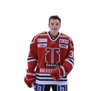 Glenn Gustafsson Goal Sticker by Örebro Hockey